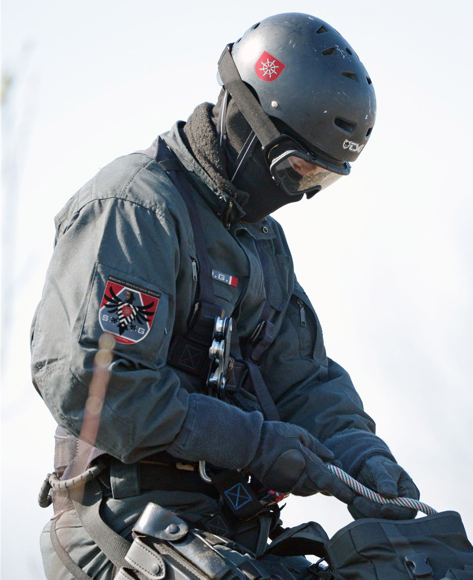 Logo Design by Austerlizz (Vasiliy Potyomkin) for this project | Design #5202636