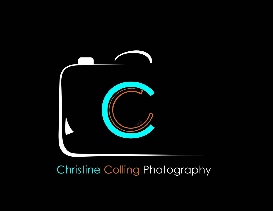 Diseño de Logo por Go-Hil para este proyecto | Diseño #5185259