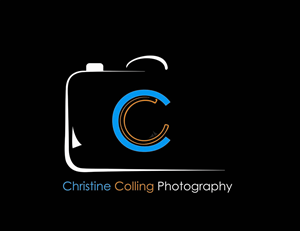 Logo Design by Go-Hil