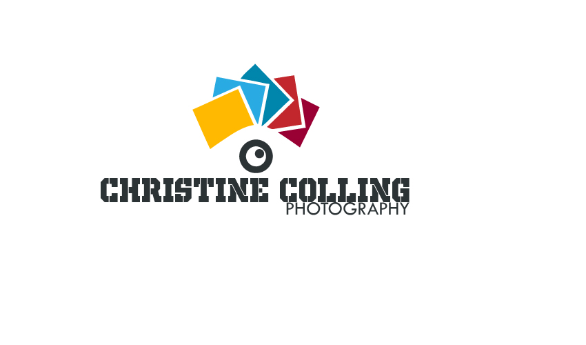 Logo Design by alishah_1995 for this project | Design #5183488