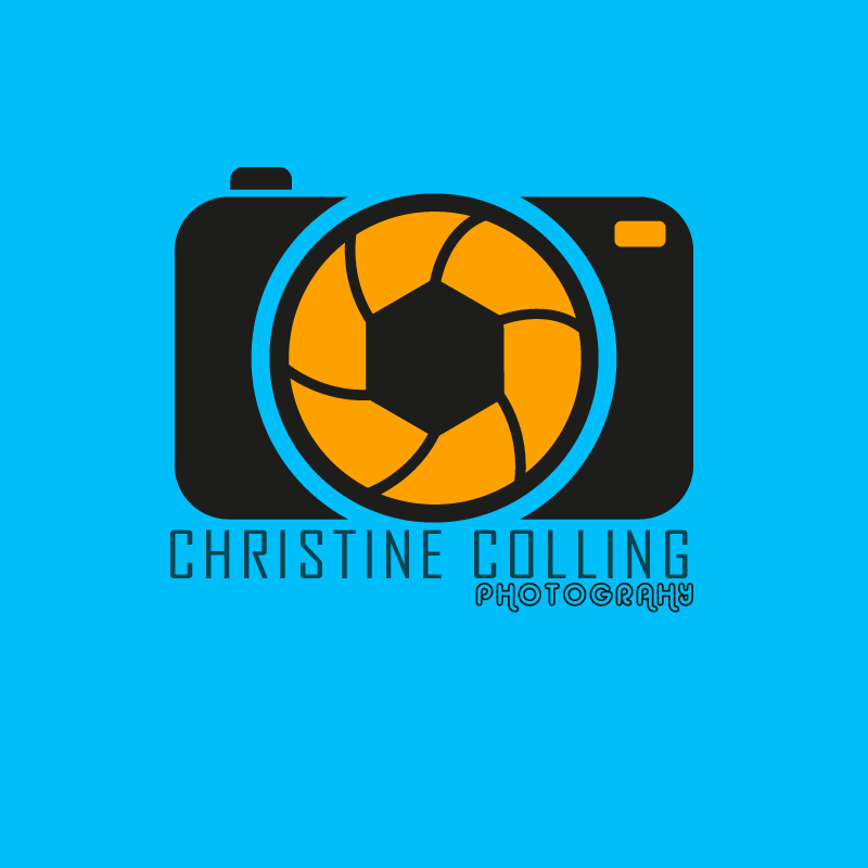 Logo Design by alishah_1995 for this project | Design #5183515