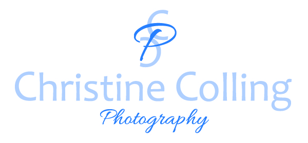 Logo Design by wmcool for this project | Design #5183967
