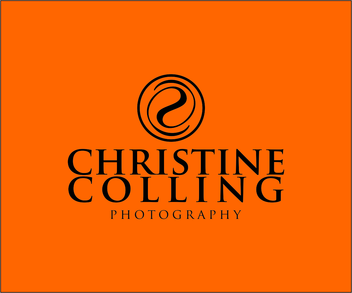 Logo Design by Shreyas Arts for this project | Design #5187099