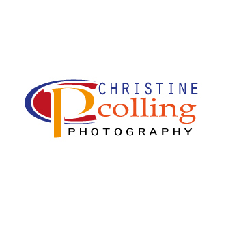 Logo Design by Microsuccess for this project | Design #5192704
