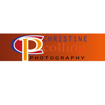 Diseño de Logo por Microsuccess para este proyecto | Diseño #5192711