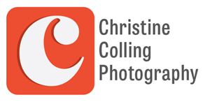 Logo Design by karneskate