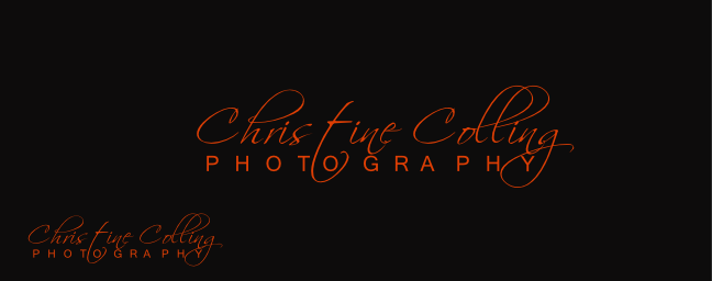 Logo Design by cr8ive for this project | Design #5191516