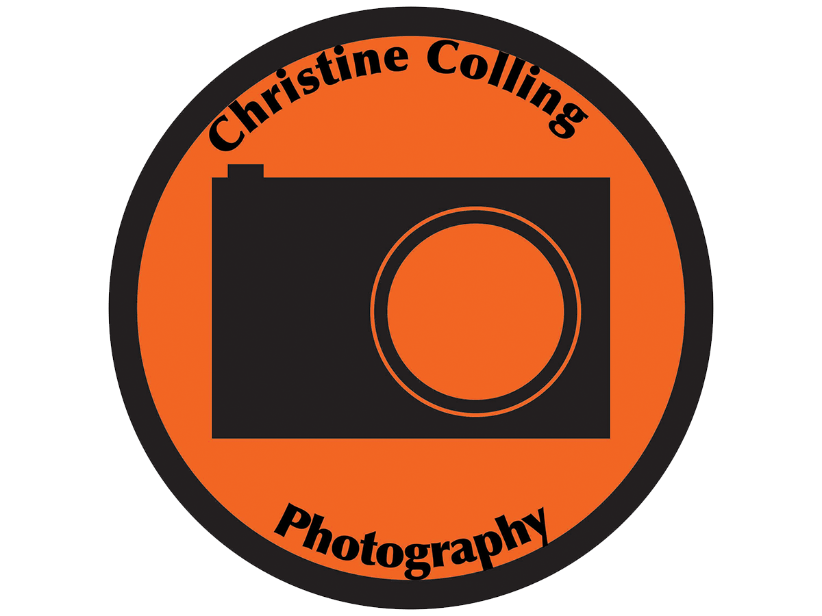 Logo Design by JohnHut for this project | Design #5188209