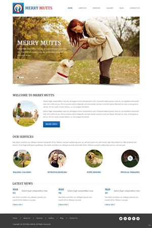 Web Design by pb for this project | Design: #5185063
