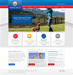 Web Design by pb for this project | Design: #5215150