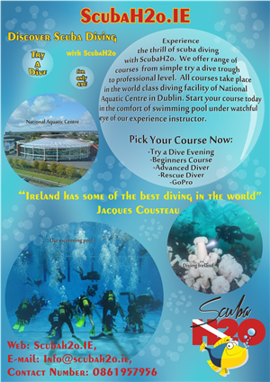 Poster-Design von Fokutza für dieses Projekt | Design: #1455969