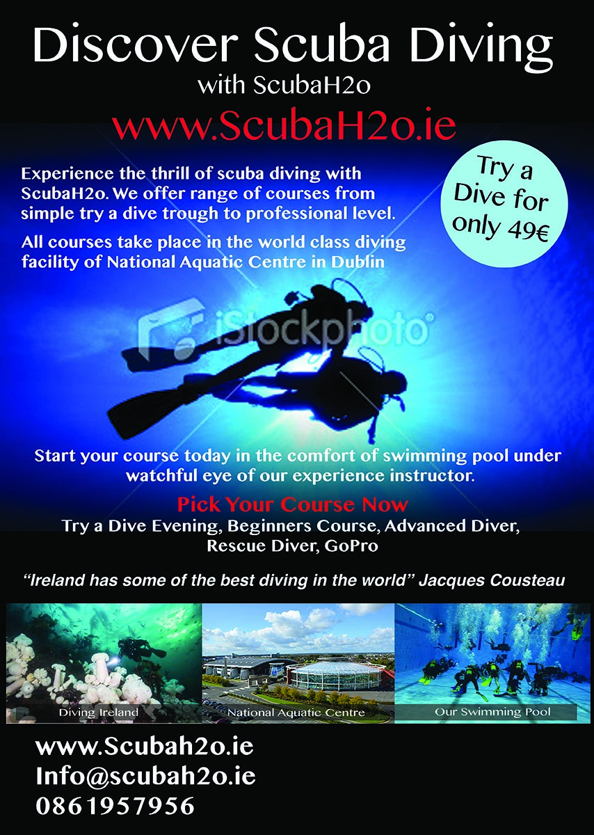 Diseño de Póster por Lou Sharp para este proyecto | Diseño #1489552