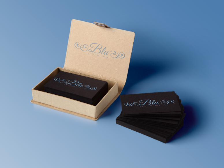 Logo Design by wonderland for Blu Salon, LLC | Design #5221179