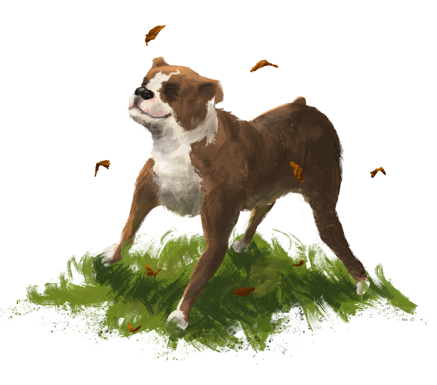 Illustration Design by DM for this project | Design #5207839