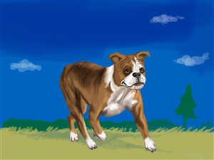 Bella the Bulldog - - - Children's Book | Illustration-Design von artistraman
