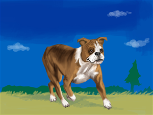 Bella the Bulldog - - - Children's Book | Illustration Design by artistraman