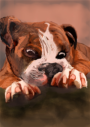 Design Illustration par Boaru Teodora pour ce projet | Design : #5209181