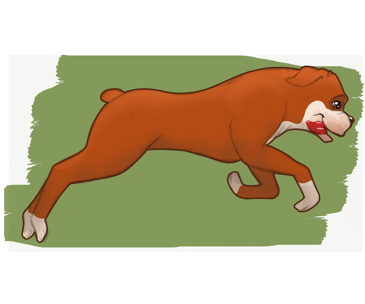 Illustration Design by Diego van Koetsveld for this project | Design #5222399