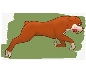 Design Illustration par Diego van Koetsveld pour ce projet | Design : #5222399