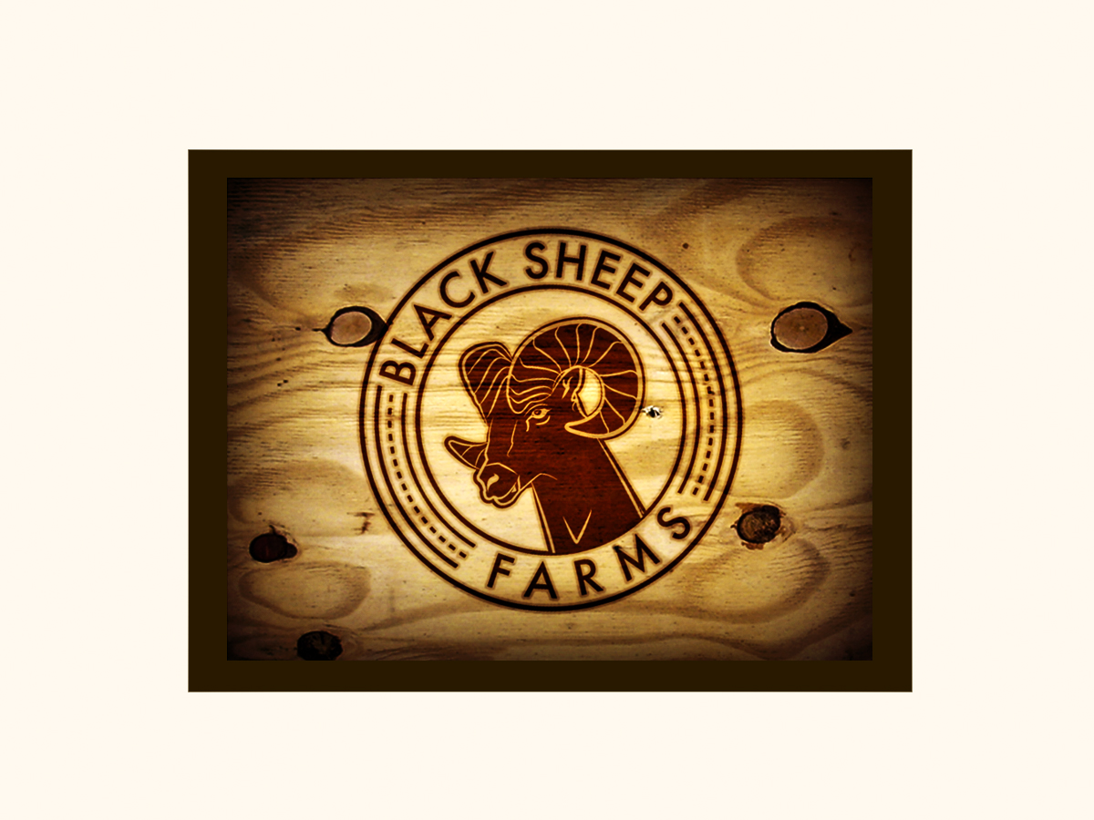 Design de Logo par Thomas Embry-(flight design) pour ce projet | Design #5188780