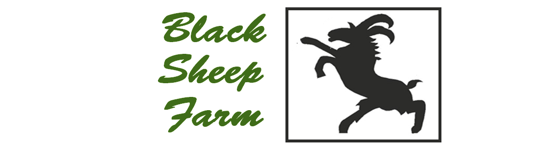 Logo Design by zamzak for this project | Design #5185135