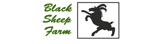 Logo Design by zamzak