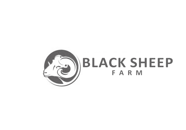 Logo Design by DesignPlus for this project | Design #5184615