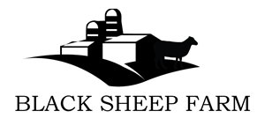 Logo Design by Juan Marte
