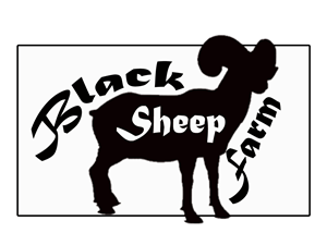 Logo Design by Matthew Fawcett