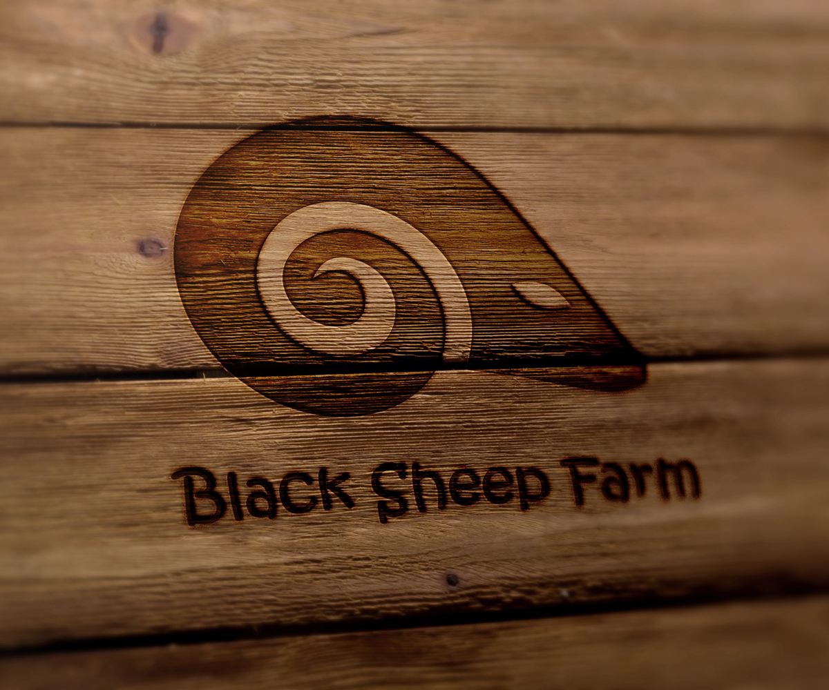 Logo Design by Rameez Remy for this project | Design #5185009