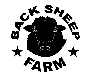 Logo Design by Ashaduzzman