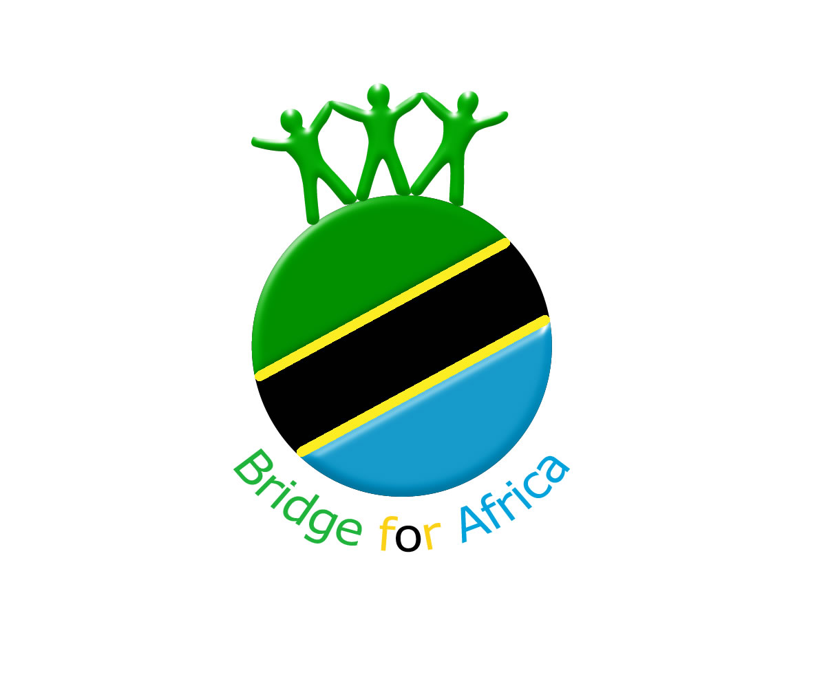 Graphic Design by NU CONCEPT for The Bridge to Africa Project  | Design #5191689