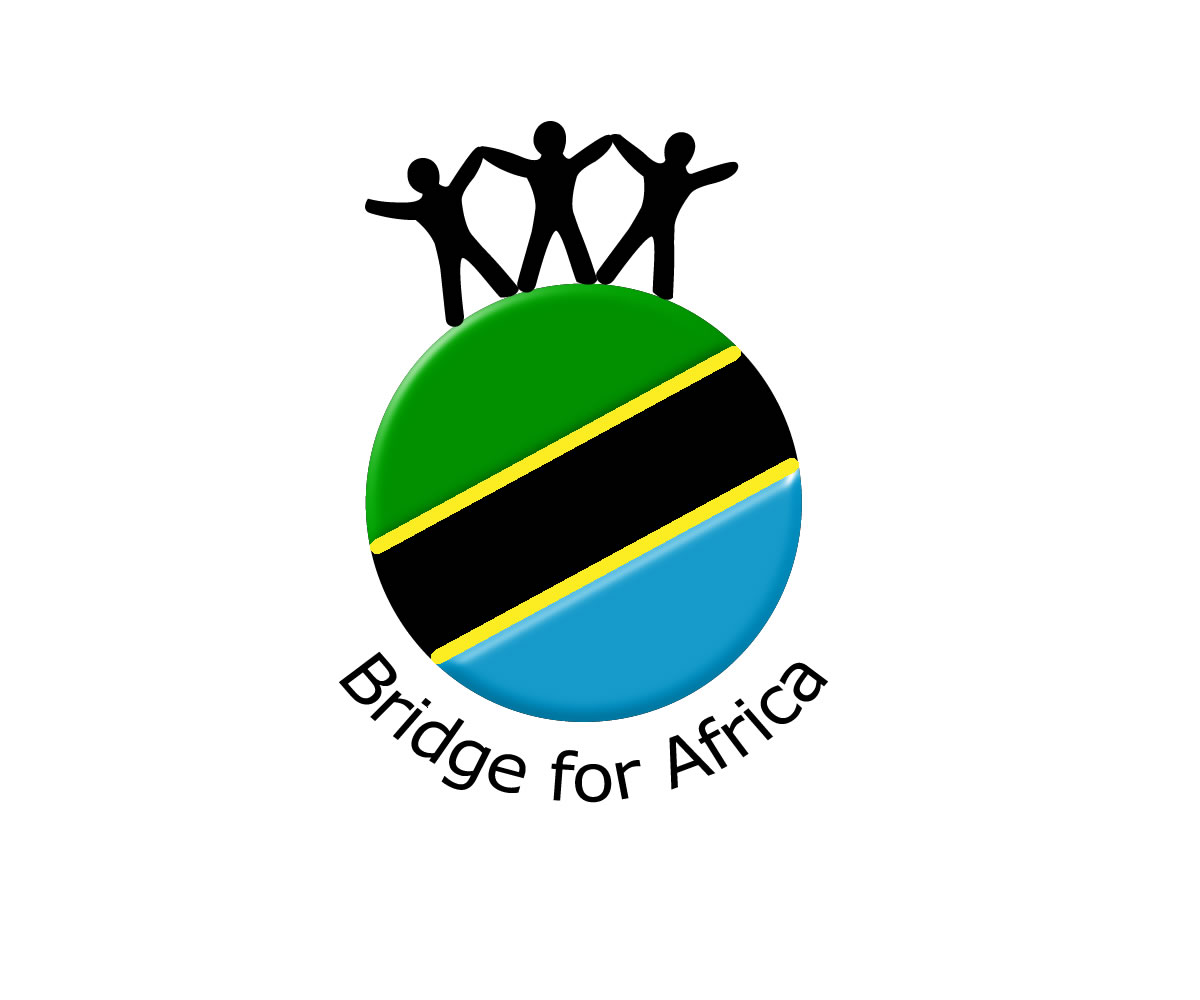Graphic Design by NU CONCEPT for The Bridge to Africa Project  | Design #5191699