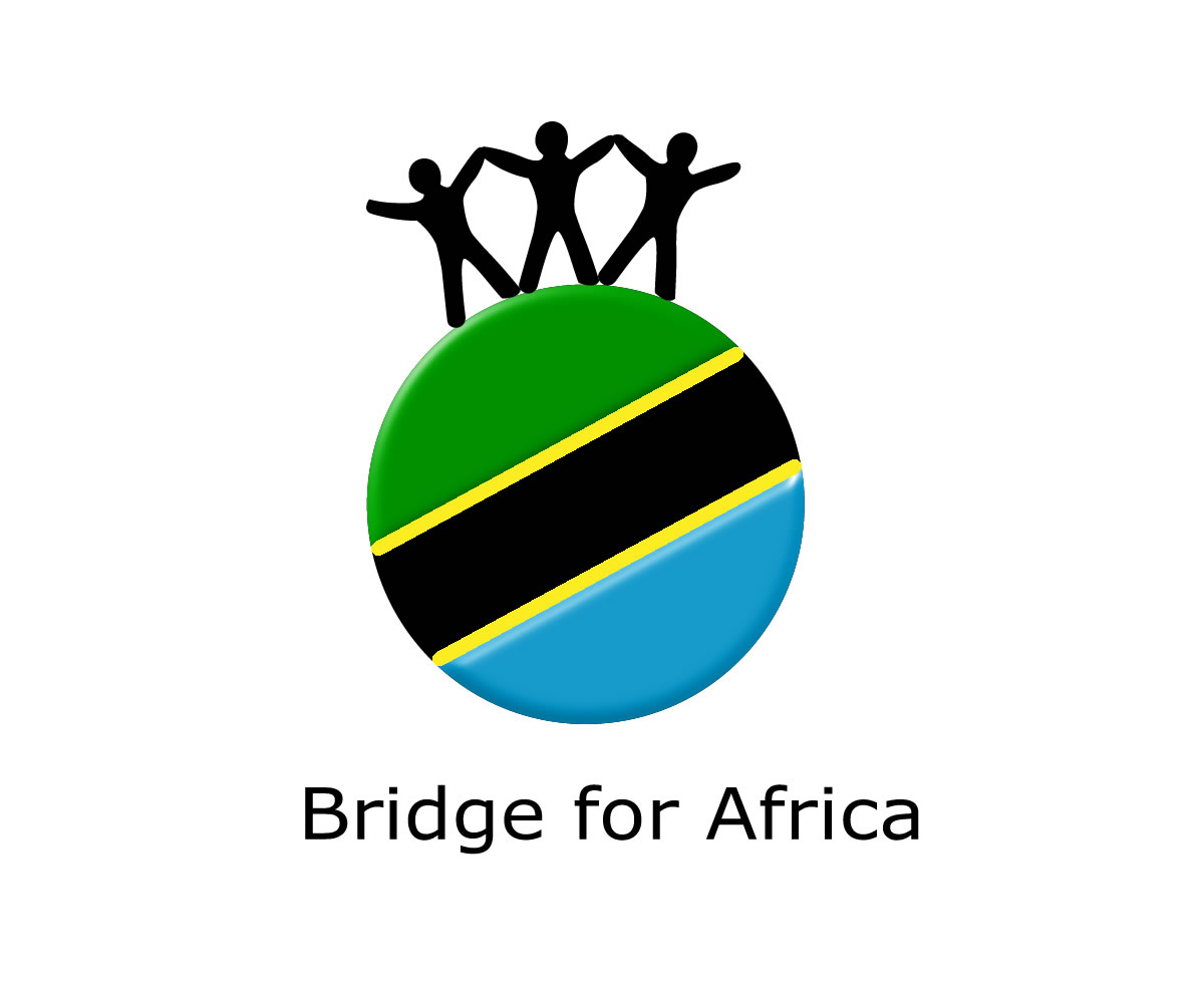 Graphic Design by NU CONCEPT for The Bridge to Africa Project  | Design #5191704