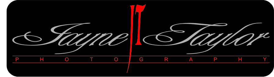 Diseño de Logo por Vishruth DC para este proyecto | Diseño #269847