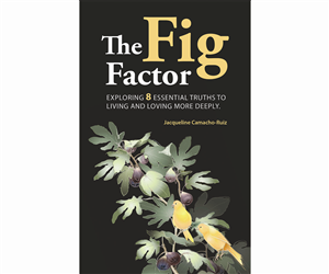 Book Cover Design by franzii