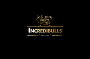 Logo Design by AIDANS STUDIO for this project | Design #5280357