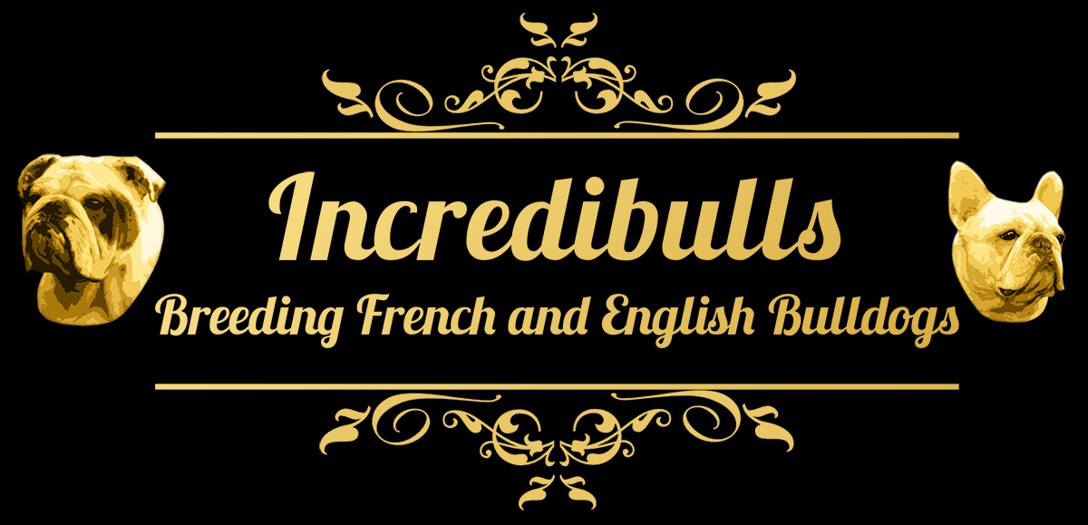 Logo Design by JamieCurnow for this project | Design #5273218