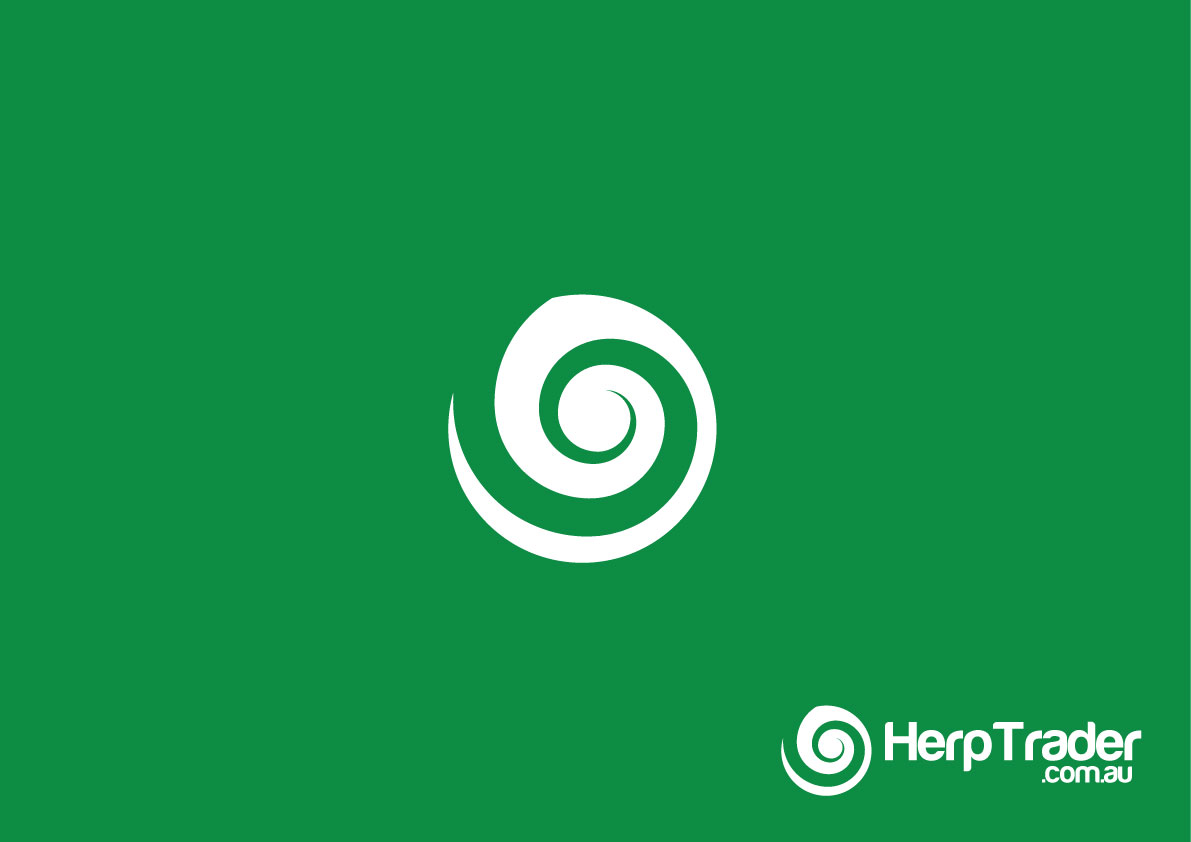 Logo-Design von dukedesign für dieses Projekt | Design #1457703