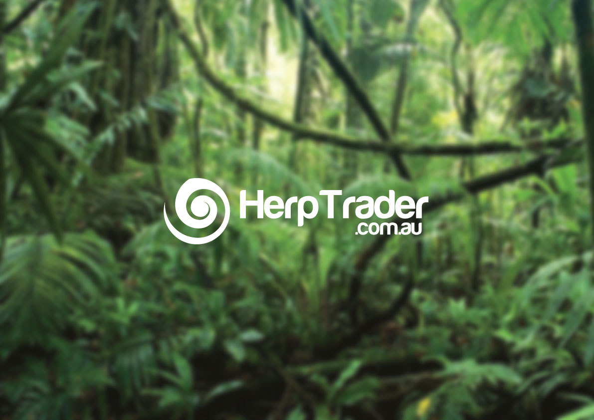 Logo Design by dukedesign for this project | Design #1457738