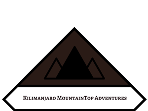 Logo Design by Allison Yingst