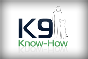 Logo Design by Channel9