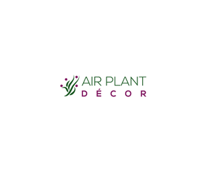 Air Plant Décor | Logo Design by Dzains
