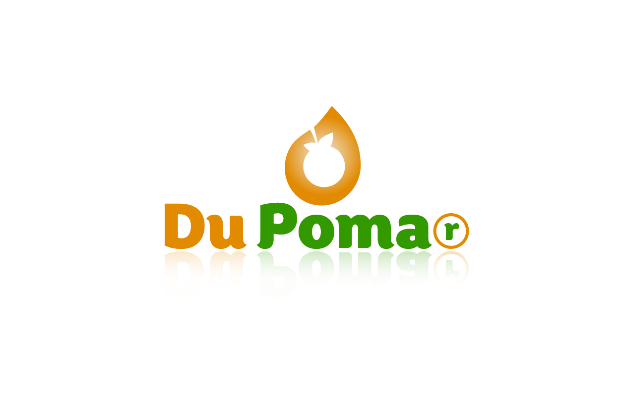 Design de Logo par Romnie Click Creative pour ce projet | Design #5205425