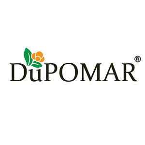 Logo Design by Phuong Anh