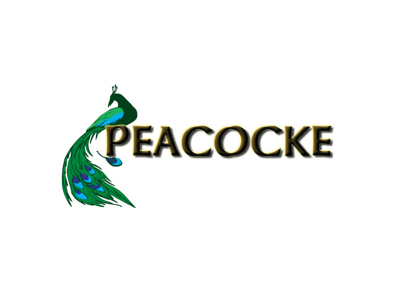 Diseño de Logo por Revelation Arts para este proyecto | Diseño #5212128