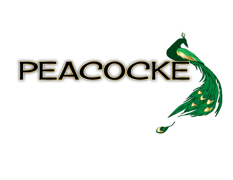 Diseño de Logo por Revelation Arts para este proyecto | Diseño #5233756