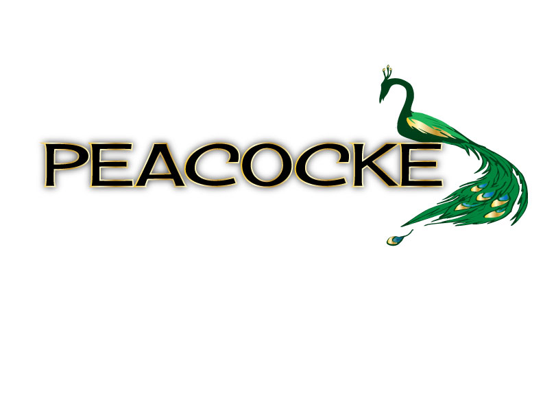 Diseño de Logo por Revelation Arts para este proyecto | Diseño #5253234