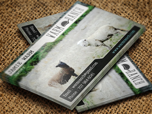 Business Card Design by Sandaruwan