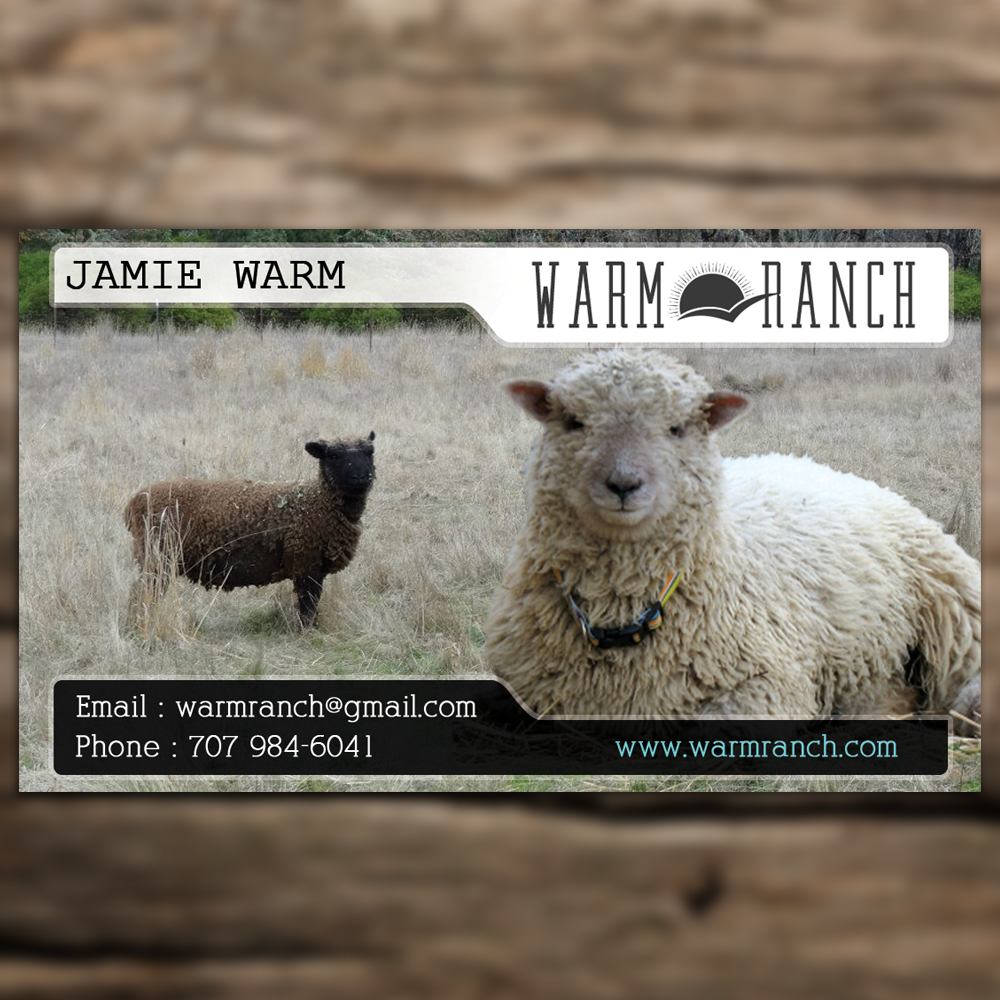 Business Card Design by Sandaruwan for this project | Design #5212568